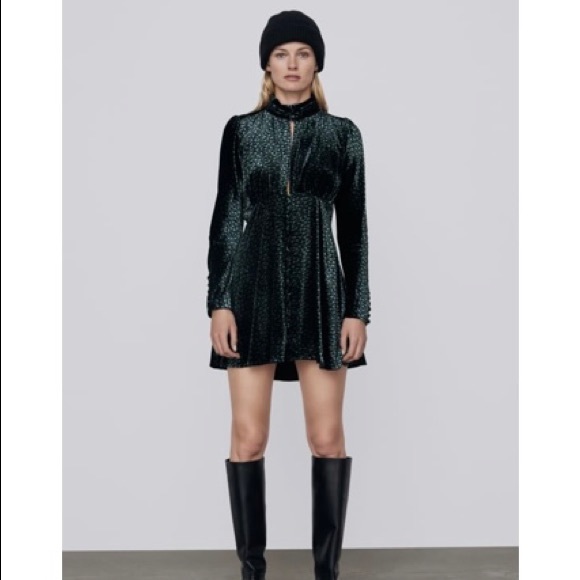 Zara Dresses & Skirts - Printed velvet dress